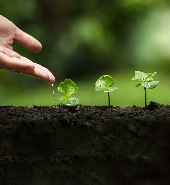 Sustainability
